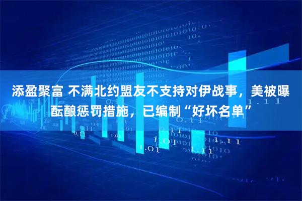 添盈聚富 不满北约盟友不支持对伊战事，美被曝酝酿惩罚措施，已编制“好坏名单”