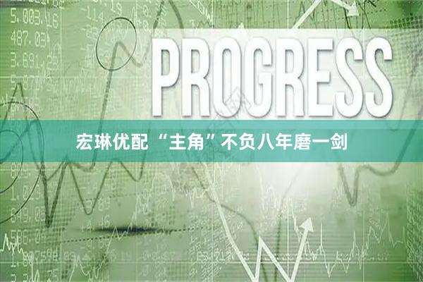 宏琳优配 “主角”不负八年磨一剑