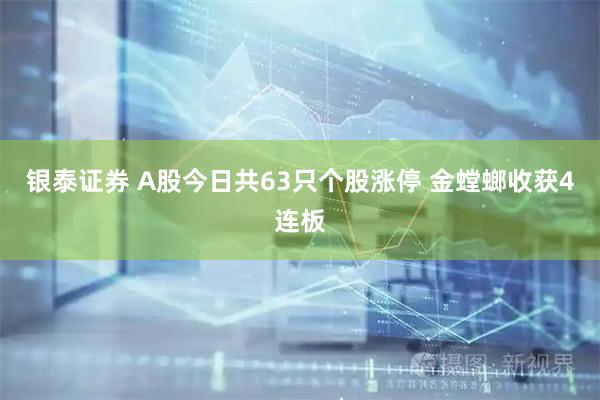 银泰证券 A股今日共63只个股涨停 金螳螂收获4连板
