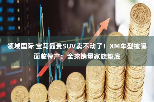 领域国际 宝马最贵SUV卖不动了！XM车型被曝面临停产：全球销量家族垫底